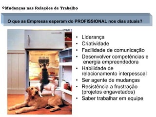 Liderança Criatividade Facilidade de comunicação Desenvolver competências e  energia empreendedora Habilidade de relacionamento interpessoal Ser agente de mudanças Resistência a frustração (projetos engavetados) Saber trabalhar em equipe Mudanças nas Relações de Trabalho O que as Empresas esperam do PROFISSIONAL nos dias atuais? 