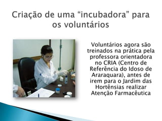 Voluntários agora são
treinados na prática pela
professora orientadora
no CRIA (Centro de
Referência do Idoso de
Araraquar...