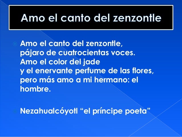 Conquista y expediciones
