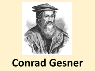 Conrad Gesner
 
