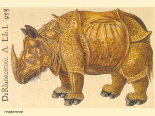 rinoceronte
 