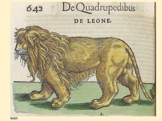 león
 