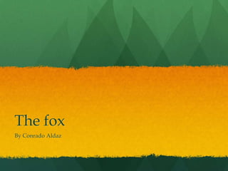 The fox
By Conrado Aldaz
 