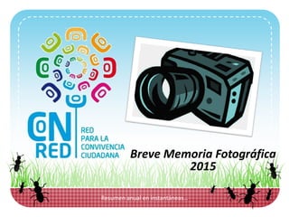 Resumen anual en instantáneas…
Breve Memoria Fotográfica
2015
 
