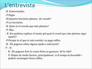L’entrevista
-E :Entrevistador.
-P:Pagès
-E:Quantes hectàries planteu de cereals?
-P:122 hectàries.
-E :Quin és el cereals que més planteu?
-P: Blat.
- E :Em podrieu explicar el motiu pel qual el cereal que més planteu sigui
aquest?
-P:Perquè és el que té més sortida i es paga millor.
-E : Els pagesos rebeu alguna ajuda o subvenció?
P : Sí
- E : Els pagesos fent la vostra feina us guanyeu bé la vida?
- P: Depèn de molts factors, principalment si el temps és favorable i
podem aconseguir bona collita.
 