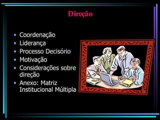 Direção Coordenação Liderança Processo Decisório Motivação Considerações sobre direção Anexo: Matriz Institucional Múltipla 