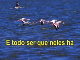 E todo ser que neles há