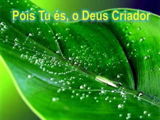 Pois Tu és, o Deus Criador