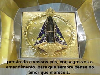 prostrado a vossos pés, consagro-vos o entendimento, para que sempre pense no amor que mereceis.   