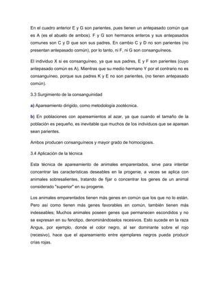 En el cuadro anterior E y G son parientes, pues tienen un antepasado común que es A (es el abuelo de ambos). F y G son hermanos enteros y sus antepasados comunes son C y D que son sus padres. En cambio C y D no son parientes (no presentan antepasado común), por lo tanto, ni F, ni G son consanguíneos. 
El individuo X si es consanguíneo, ya que sus padres, E y F son parientes (cuyo antepasado común es A). Mientras que su medio hermano Y por el contrario no es consanguíneo, porque sus padres K y E no son parientes, (no tienen antepasado común). 
3.3 Surgimiento de la consanguinidad 
a) Apareamiento dirigido, como metodología zootécnica. 
b) En poblaciones con apareamientos al azar, ya que cuando el tamaño de la población es pequeño, es inevitable que muchos de los individuos que se aparean sean parientes. 
Ambos producen consanguíneos y mayor grado de homocigosis. 
3.4 Aplicación de la técnica 
Esta técnica de apareamiento de animales emparentados, sirve para intentar concentrar las características deseables en la progenie, a veces se aplica con animales sobresalientes, tratando de fijar o concentrar los genes de un animal considerado "superior" en su progenie. 
Los animales emparentados tienen más genes en común que los que no lo están. Pero así como tienen más genes favorables en común, también tienen más indeseables; Muchos animales poseen genes que permanecen escondidos y no se expresan en su fenotipo, denominándoselos recesivos. Esto sucede en la raza Angus, por ejemplo, donde el color negro, al ser dominante sobre el rojo (recesivo), hace que el apareamiento entre ejemplares negros pueda producir crías rojas.  