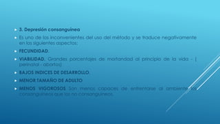  3. Depresión consanguínea
 Es uno de los inconvenientes del uso del método y se traduce negativamente
en los siguientes aspectos:
 FECUNDIDAD.
 VIABILIDAD. Grandes porcentajes de mortandad al principio de la vida - (
perinatal - abortos)
 BAJOS INDICES DE DESARROLLO.
 MENOR TAMAÑO DE ADULTO
 MENOS VIGOROSOS Son menos capaces de enfrentarse al ambiente los
consanguíneos que los no consanguíneos.
 