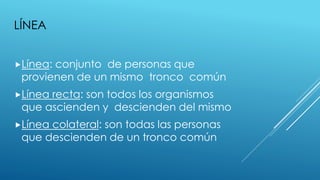LÍNEA
Línea: conjunto de personas que
provienen de un mismo tronco común
Línea recta: son todos los organismos
que ascienden y descienden del mismo
Línea colateral: son todas las personas
que descienden de un tronco común
 