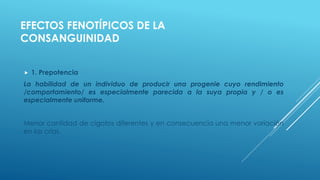 EFECTOS FENOTÍPICOS DE LA
CONSANGUINIDAD
 1. Prepotencia
La habilidad de un individuo de producir una progenie cuyo rendimiento
/comportamiento/ es especialmente parecida a la suya propia y / o es
especialmente uniforme.
Menor cantidad de cigotos diferentes y en consecuencia una menor variación
en las crías.
 