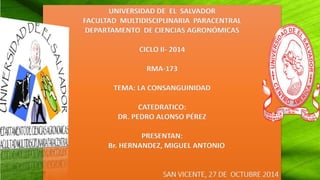 UNIVERSIDAD DE EL SALVADOR 
FACULTAD MULTIDISCIPLINARIA PARACENTRAL 
DEPARTAMENTO DE CIENCIAS AGRONÓMICAS 
CICLO II- 2014 
RMA-173 
TEMA: LA CONSANGUINIDAD 
CATEDRATICO: 
DR. PEDRO ALONSO PÉREZ 
PRESENTAN: 
Br. HERNANDEZ, MIGUEL ANTONIO 
SAN VICENTE, 27 DE OCTUBRE 2014 
 