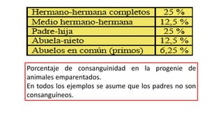 Porcentaje de consanguinidad en la progenie de 
animales emparentados. 
En todos los ejemplos se asume que los padres no son 
consanguíneos. 
 