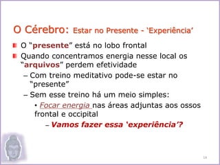 O “presente” está no lobo frontal
Quando concentramos energia nesse local os
“arquivos” perdem efetividade
– Com treino meditativo pode-se estar no
“presente”
– Sem esse treino há um meio simples:
• Focar energia nas áreas adjuntas aos ossos
frontal e occipital
– Vamos fazer essa ‘experiência’?
O Cérebro: Estar no Presente - ‘Experiência’
14
 