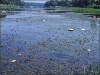 Conscientisation | PPT