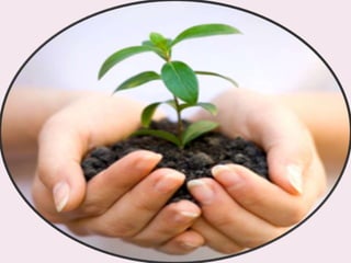 Conscientisation | PPT