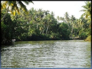 Conscientisation | PPT