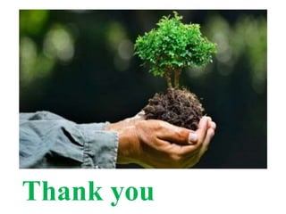 Conscientisation | PPT