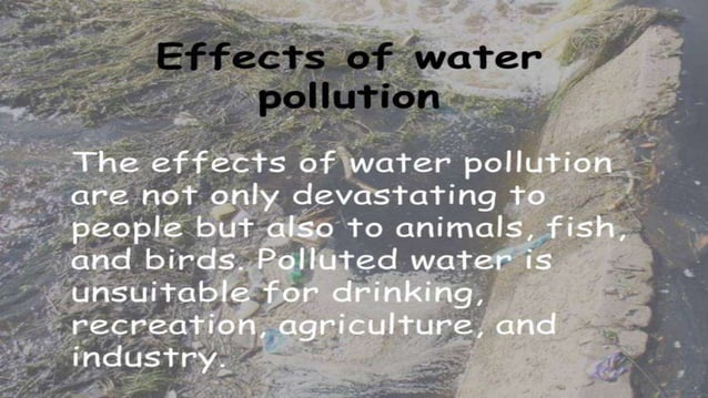 Conscientization Programme - Water Pollution.pptx