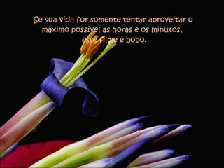 Se sua vida for somente tentar aproveitar o máximo possível as horas e os minutos,   esse filme é bobo. 