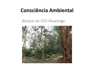 Consciência Ambiental
Bosque do CEU Alvarenga

 