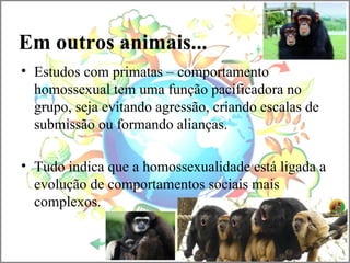 Em outros animais...
• Estudos com primatas – comportamento
homossexual tem uma função pacificadora no
grupo, seja evitando agressão, criando escalas de
submissão ou formando alianças.
• Tudo indica que a homossexualidade está ligada a
evolução de comportamentos sociais mais
complexos.
 