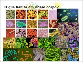 O que habita em nosso corpo?
 