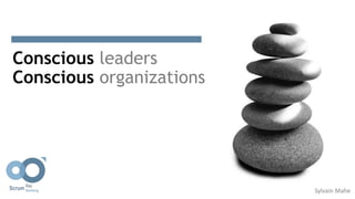 Conscious leaders
Conscious organizations
Sylvain Mahe
 