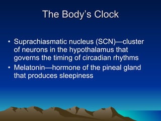 The Body’s Clock Suprachiasmatic nucleus (SCN)—cluster of neurons in the hypothalamus that governs the timing of circadian rhythms Melatonin—hormone of the pineal gland that produces sleepiness 