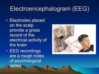 Electroencephalogram (EEG) Electrodes placed on the scalp provide a gross record of the electrical activity of the brain EEG recordings are a rough index of psychological states 