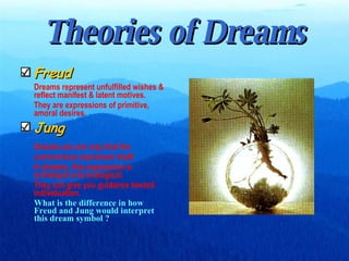 Theories of Dreams Freud Dreams represent unfulfilled wishes & reflect manifest & latent motives. They are expressions of primitive, amoral desires. Jung Dreams are one way that the unconscious expresses itself.  In dreams, this expression is archetypal and analogical.  They can give you guidance toward individuation. What is the difference in how Freud and Jung would interpret this dream symbol ? 