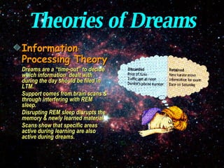 Theories of Dreams Information Processing Theory Dreams are a “time-out” to decide which information  dealt with during the day should be filed in LTM. Support comes from brain scans & through interfering with REM sleep. Disrupting REM sleep disrupts the memory & newly learned material. Scans show that specific areas active during learning are also active during dreams. 