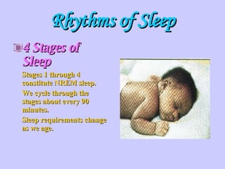 Rhythms of Sleep 4 Stages of Sleep Stages 1 through 4 constitute NREM sleep. We cycle through the stages about every 90 minutes. Sleep requirements change as we age. 