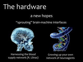 Brain-Computer Interfacing, Consciousness, and the Global Brain ...