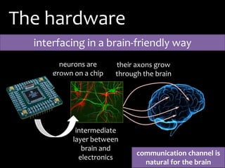 Brain-Computer Interfacing, Consciousness, and the Global Brain ...