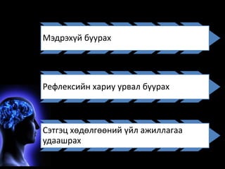 Мэдрэхүй буурах 
Рефлексийн хариу урвал буурах 
Сэтгэц хөдөлгөөний үйл ажиллагаа 
удаашрах 
 