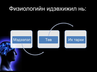 Физиологийн идэвхижил нь: 
Мэдээлэл Төв Их тархи 
 