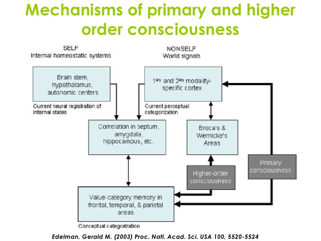 Consciousness Week 1