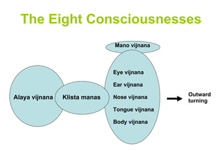 The Eight Consciousnesses   Alaya vijnana Klista manas Eye vijnana Ear vijnana Nose vijnana Tongue vijnana Body vijnana Mano vijnana Outward  turning 