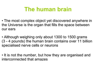 The human brain The most complex object yet discovered anywhere in  the Universe is the organ that fills the space between  our ears Although weighing only about 1300 to 1500 grams  (3 - 4 pounds) the human brain contains over 11 billion  specialised nerve cells or neurons It is not the number, but how they are organised and  interconnected that amazes 
