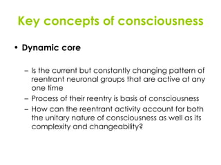 Key concepts of consciousness Dynamic core Is the current but constantly changing pattern of reentrant neuronal groups that are active at any one time Process of their reentry is basis of consciousness How can the reentrant activity account for both the unitary nature of consciousness as well as its complexity and changeability? 