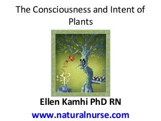 The Consciousness and Intent of 
Plants 
Ellen Kamhi PhD RN 
www.naturalnurse.com 
 