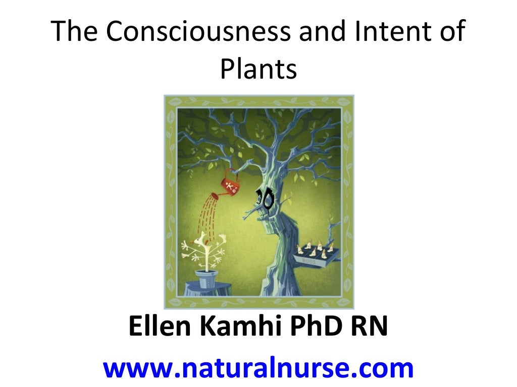 Consciousness and Intent of Plants