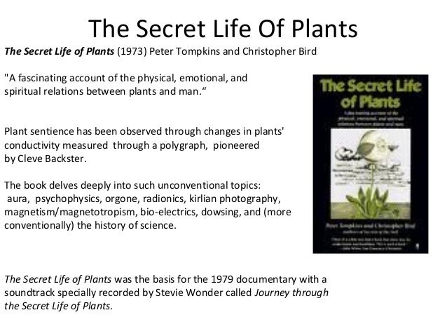 plant sentience and consciousness plant sentience and consciousness