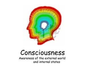 Consciousness Awareness of the external world  and internal states 