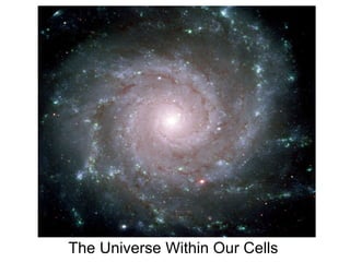 The Universe Within Our Cells 