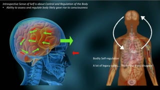 Introspective Sense of Self is about Control and Regulation of the Body
• Ability to assess and regulate body likely gave rise to consciousness
Bodily Self-regulation
A lot of legacy code….. Try dieting if you disagree!
 