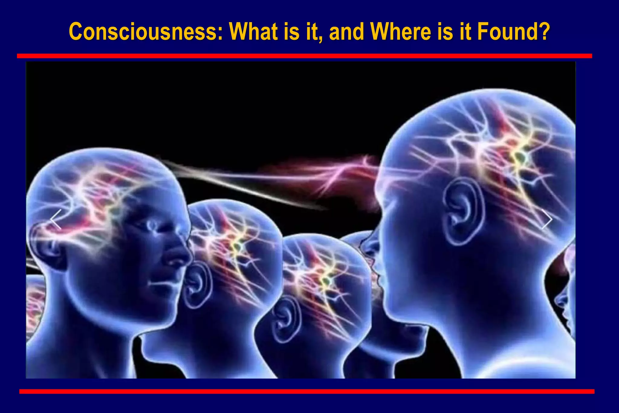 Consciousness: What is it, and Where is it Found?
 